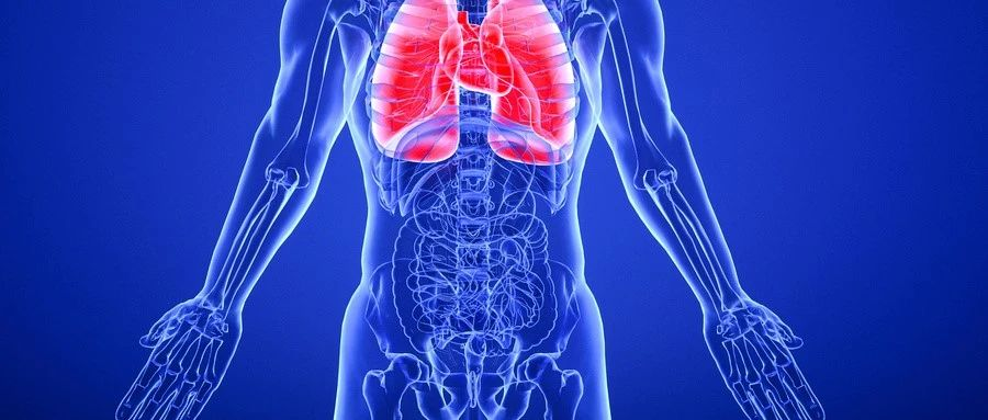 肺癌出国就医指南:把握关键决策,开启高效海外医疗之旅 肺癌出国就医指南:把握关键决策,开启高效海外医疗之旅