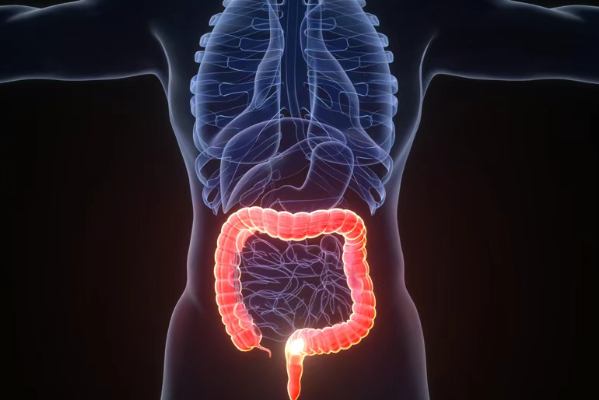 88%患者病情被控制住！新药Varseta-M在晚期结直肠癌中疗效令人鼓舞