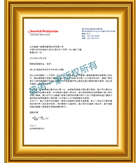 纽约长老会医院(中文版)