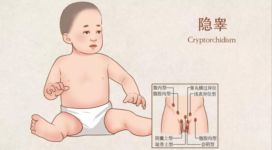 微信图片_20211209150225.jpg