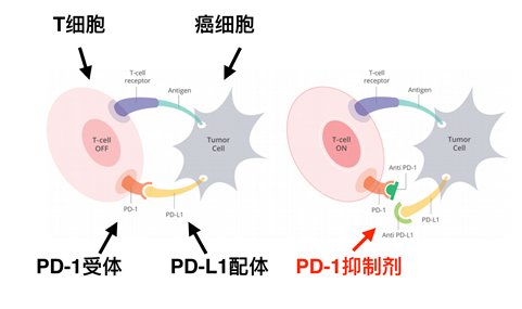 微信图片_20200814105329.png