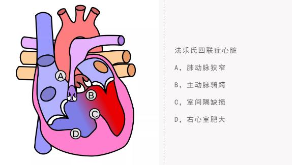 改写人类外科历史的黑人木匠10.jpg