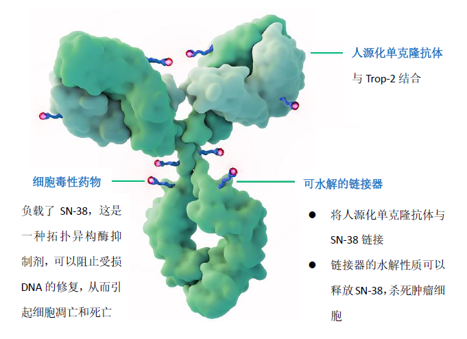 微信图片_20200927154803.png