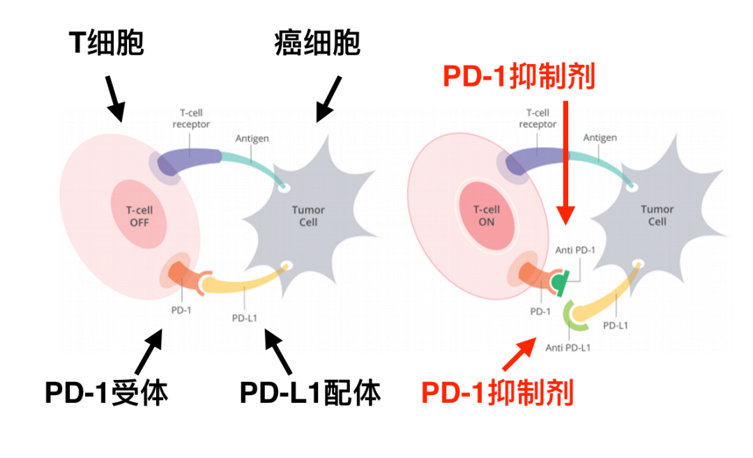 微信图片_20201202181335.png