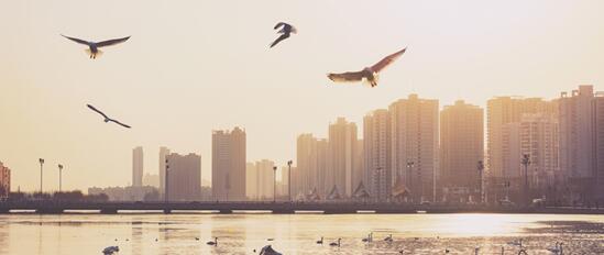 5年帮助近千名患者,她说:我做的是一件有温度的工作.jpg 5年帮助近千名患者,她说:我做的是一件有温度的工作.jpg