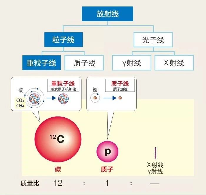 微信图片_20200814100127.jpg