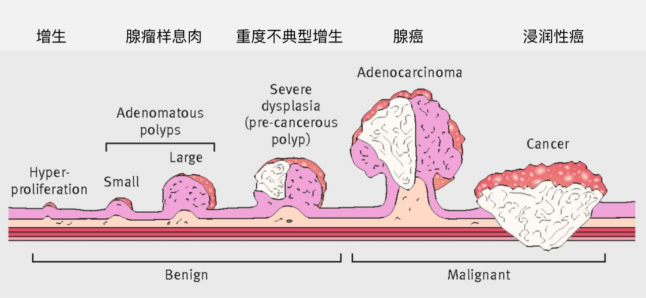 微信图片_20200831090649.png
