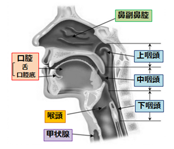 微信图片_20201028113532.png