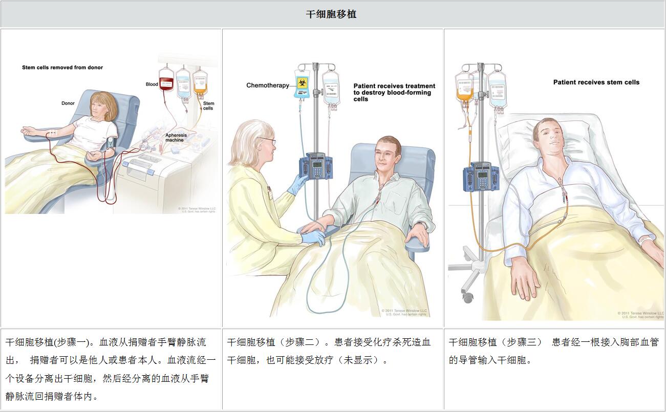 他们不想死于癌症_凤凰网