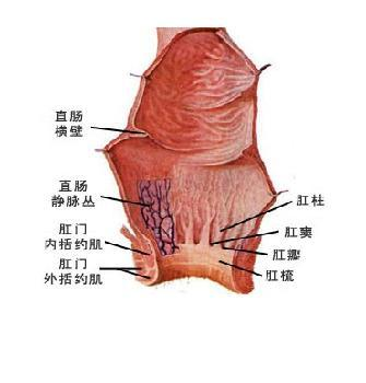 1621503602(1).jpg