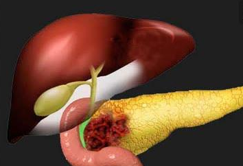 1627370907(1).jpg 1627370907(1).jpg