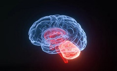 研究证实，Nectin-4靶点广泛存在头颈部癌，ADC药物有戏！