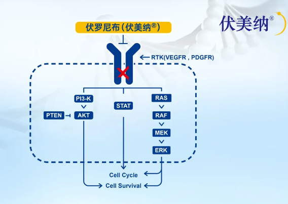 伏罗尼布(Vorolanib)伏美纳