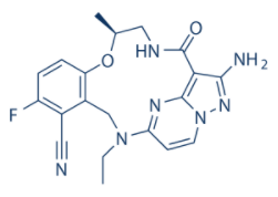 Elzovantinib(TPX-0022)