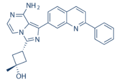 Linsitinib 林西替尼