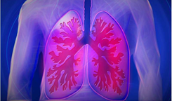 ​对话美国肺癌大咖：2024年，有哪些重磅肺癌药物将会问世？