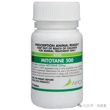 çç|ç±³æå¦æåä¸ªçæ¬?