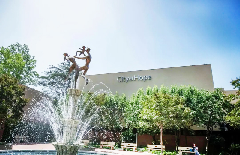 一位晚期胰腺癌患者，已经活了16年！她是如何做到的？