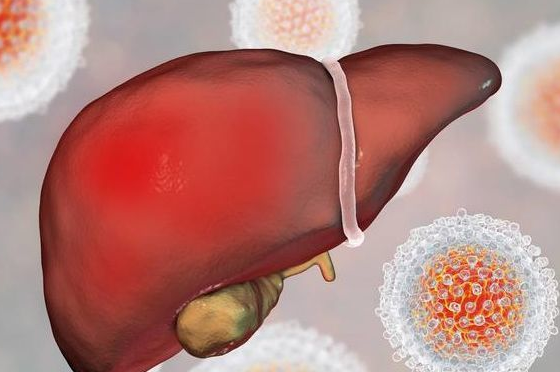 肝癌有哪些前沿疗法?出国看病医院推荐与全流程指南 肝癌有哪些前沿疗法?出国看病医院推荐与全流程指南