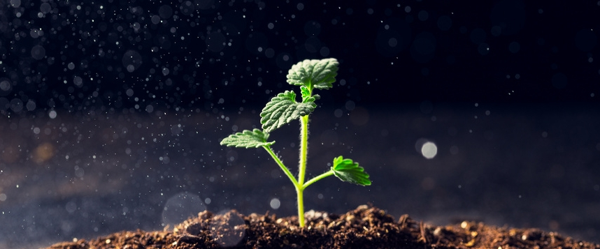 90%患者肿瘤大幅缩小,其中75%的人肿瘤完全消失!淋巴瘤CAR-T疗法5年数据惊艳!