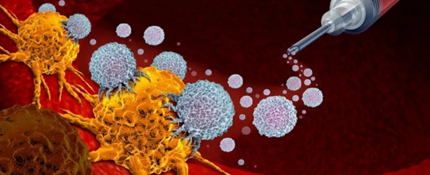 75%患者肿瘤控制良好,25%患者已实现无癌!治疗性肝癌疫苗初露锋芒!