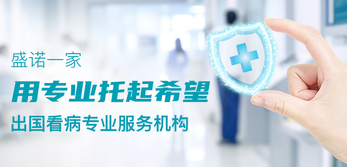 盛诺一家有哪些服务产品？
