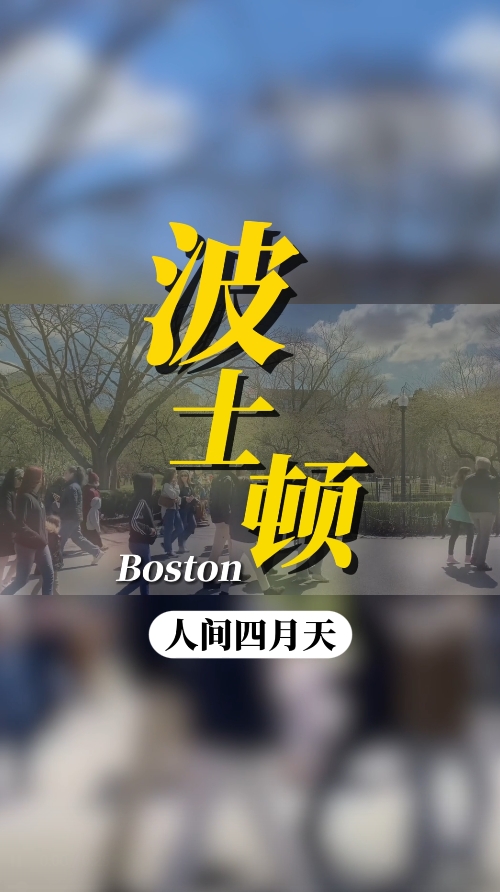 美国就医陪同：带您走进波士顿哈佛植物园