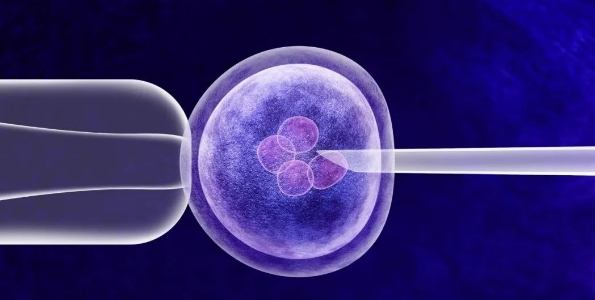 肠癌新疗法ATOMIC三期临床试验证实：近9成患者无癌生存，复发或死亡风险减半！