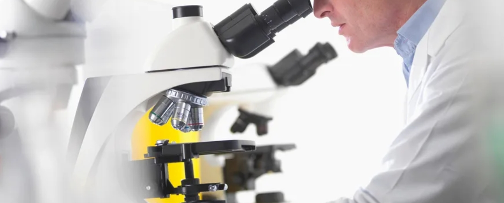 62%无癌率 vs 33%严重感染率，如何兼顾好抗癌效果和患者安全？