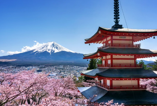 日本“每2人就有1人患癌”成常态,超半数患者确诊10年后仍存活!日本癌筛体检有何不同?