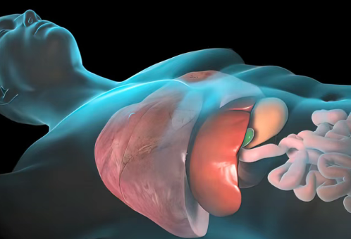 46%患者肿瘤明显缩小或消失！Bezuclastinib联合Sunitinib在胃肠道间质肿瘤中疗效显著