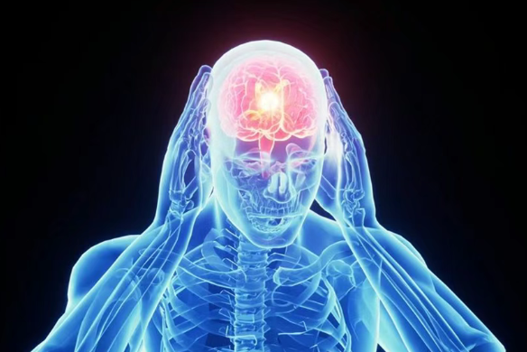 致命脑癌迎来新突破？美国科学家找到胶质母细胞瘤真正“命门”！