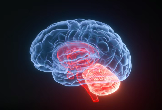 美国医学前沿：IDH1突变胶质瘤新药Safusidenib冲刺3期试验，87.9%患者两年病情未进展！