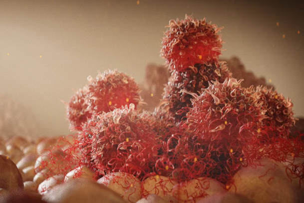 攻克“不可成药”靶点TP53！美国新药Rezatapopt对卵巢癌、乳腺癌等晚期实体瘤疗效积极