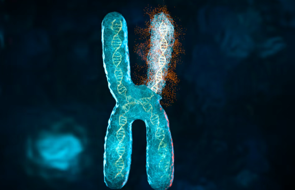 知名博主抗癌3年离世：面对晚期肺癌，胜利的希望究竟在何处？