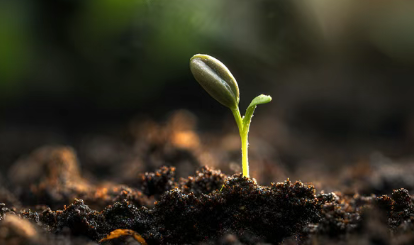 美国癌症协会：6类癌被归为“慢性癌”，患者有机会带瘤生存10年甚至更久！