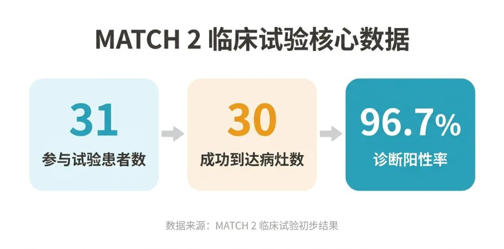 MATCH 2临床试验数据图,展示31位患者中30例成功到达病灶,诊断阳性率达96.7%