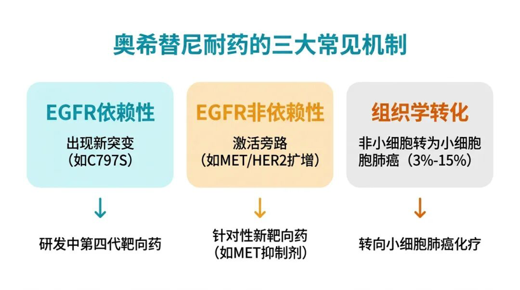 奥希替尼耐药的三大常见机制及应对策略