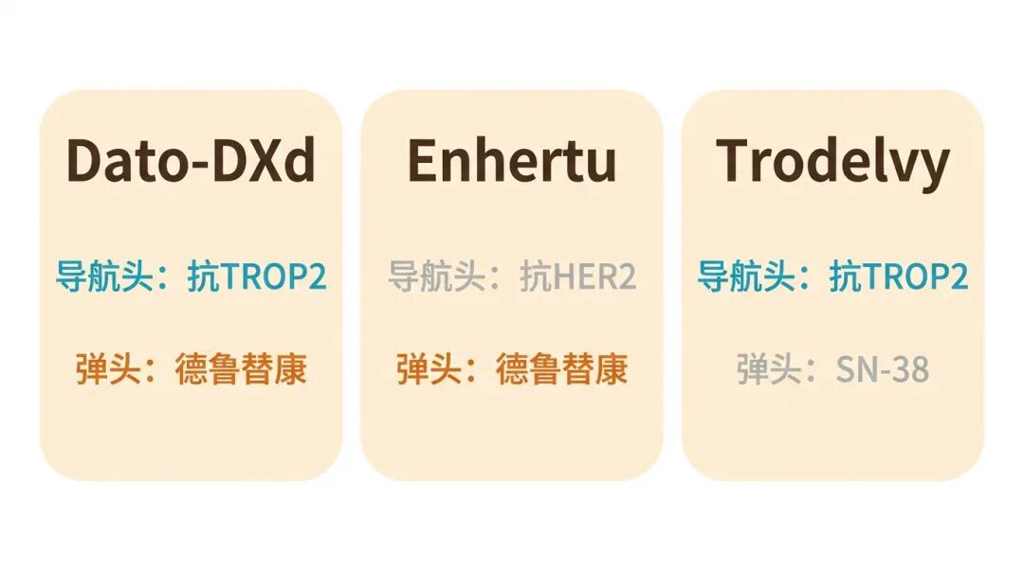 三款ADC药物导航头与弹头对比图