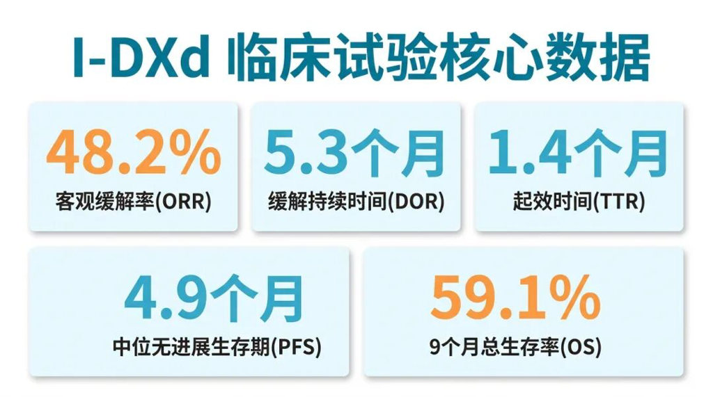 I-DXd临床试验核心数据图表