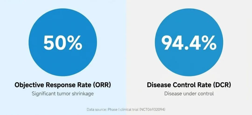 QLS5132客观缓解率与疾病控制率数据图