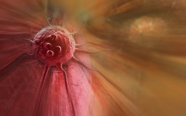 美国新药INX-315加速推进临床，瞄准晚期乳腺癌、卵巢癌等实体瘤