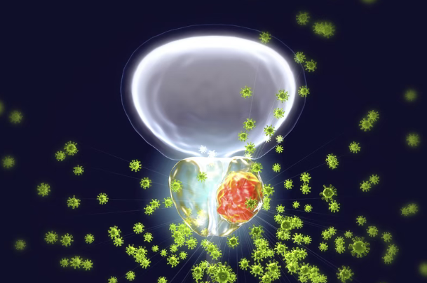 67%患者肿瘤明显缩小或消失！美国新药VIR-5500临床试验加速推进，用于晚期前列腺癌