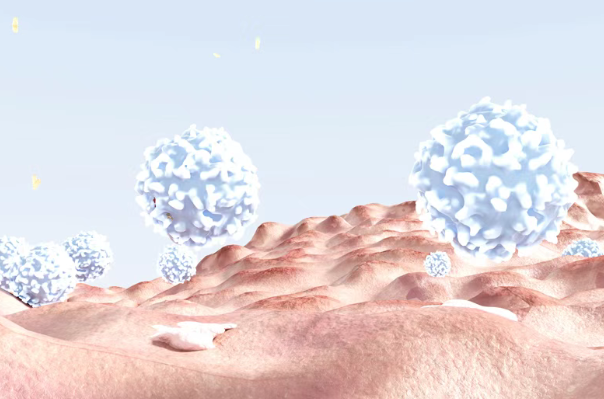 疾病控制率72%！美国新药NST-628对多种晚期实体瘤疗效积极，包括黑色素瘤、宫颈癌、脑瘤等