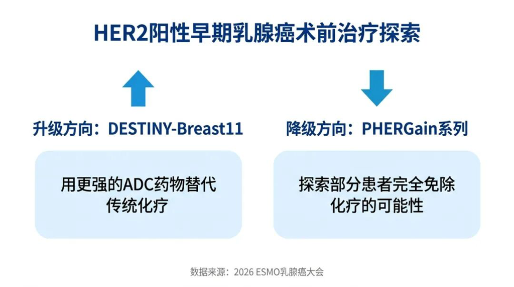 HER2阳性早期乳腺癌术前治疗的升级与降级方向对比图