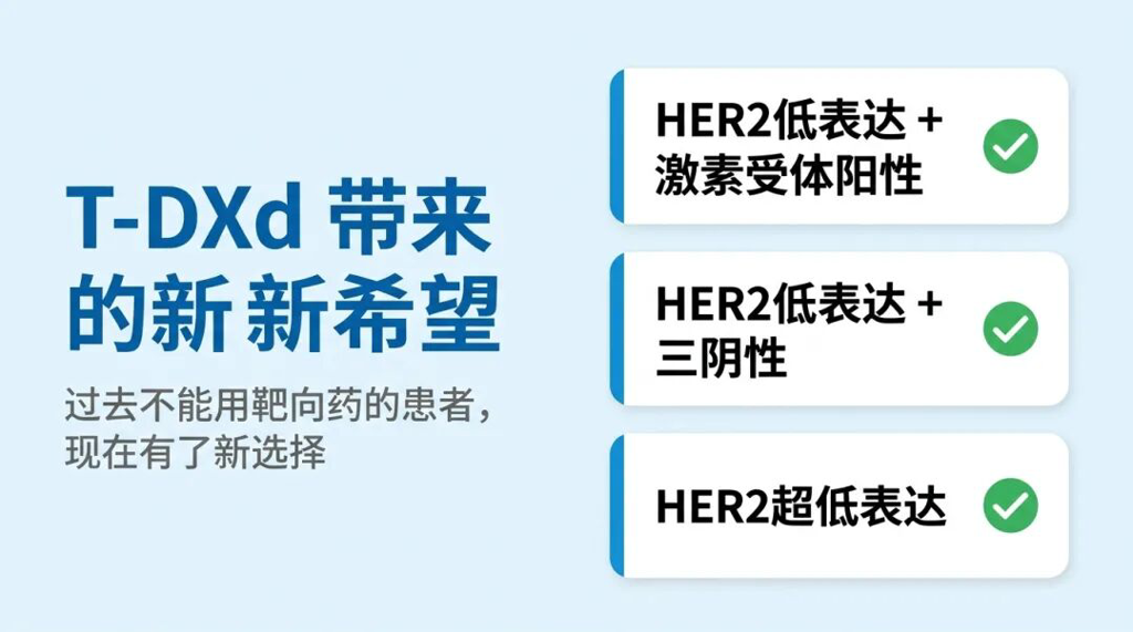 T-DXd靶向药新增适用人群列表图