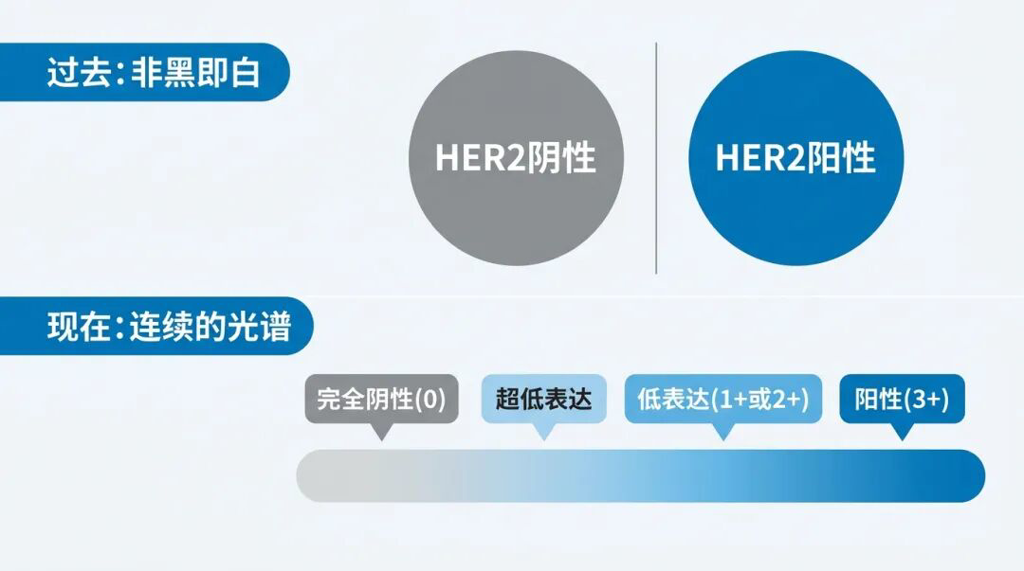 过去与现在HER2分类标准对比图