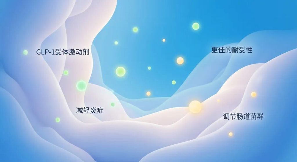 抽象的肠道微环境医学插画,采用盛诺一家品牌蓝色调。画面线条柔和圆润,展现了GLP-1受体激动剂带来的温和保护感。绿色的光点代表炎症的减轻,暖黄色的光点代表肠道菌群的平衡与修复。整体氛围专业且充满希望,强调了药物相比阿司匹林具有更佳的耐受性和安全性。