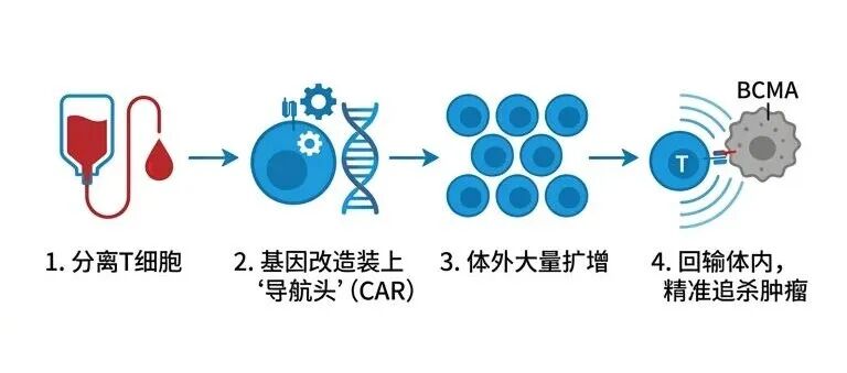CAR-T疗法原理流程图