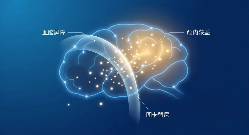 医学插画:展示小分子药物图卡替尼穿透血脑屏障的过程。画面中,代表药物的明亮光点穿过一层半透明的能量屏障(血脑屏障),点亮了原本暗淡的大脑内部,寓意其对脑转移病灶的精准治疗和带来的生存希望。色调采用盛诺一家品牌蓝,风格专业且温暖。